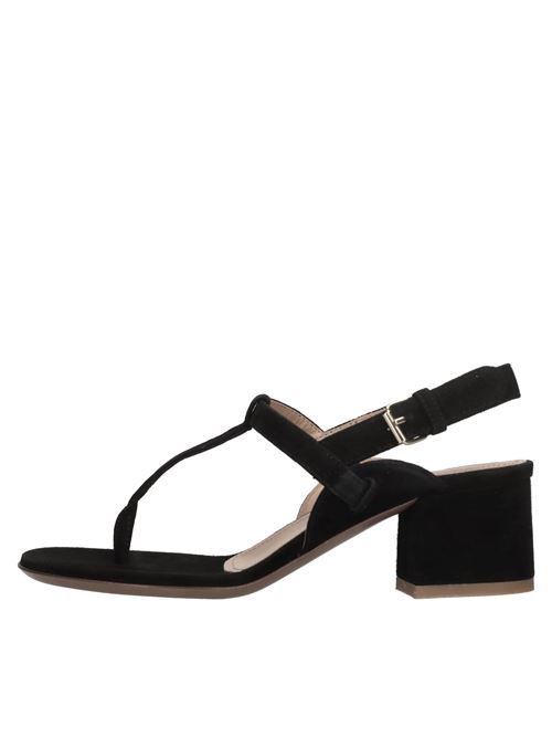  RELAC | LAC004 SUEDENERO